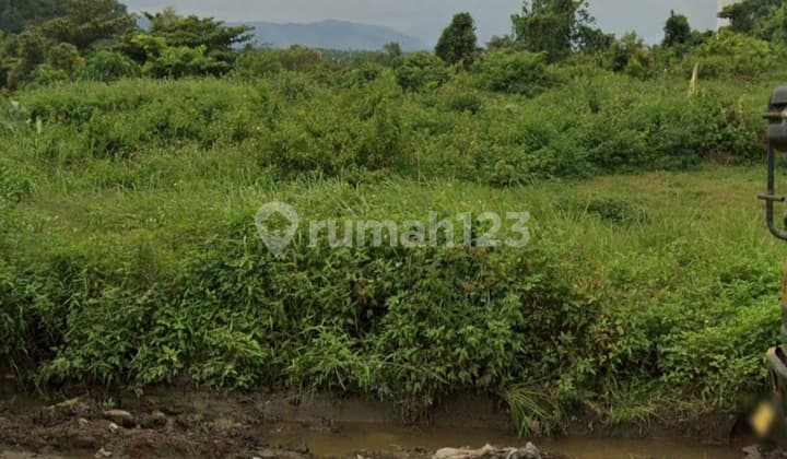 Tanah Murah Nego Sampai Jadi, Cocok Untuk Gudang Atau Perkebunan