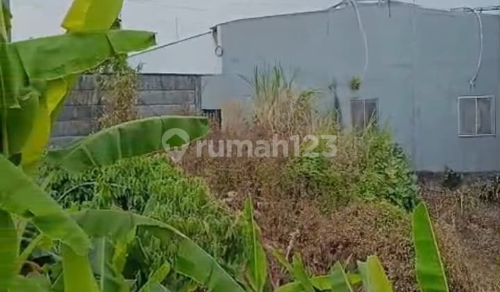 Dijual Tanah Produktif Tepi Jalan Diponegoro Ungaran Jawa Tengah