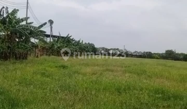 For Rent: Ready-to-Use Industrial Zone Land on Demak Semarang Main Road