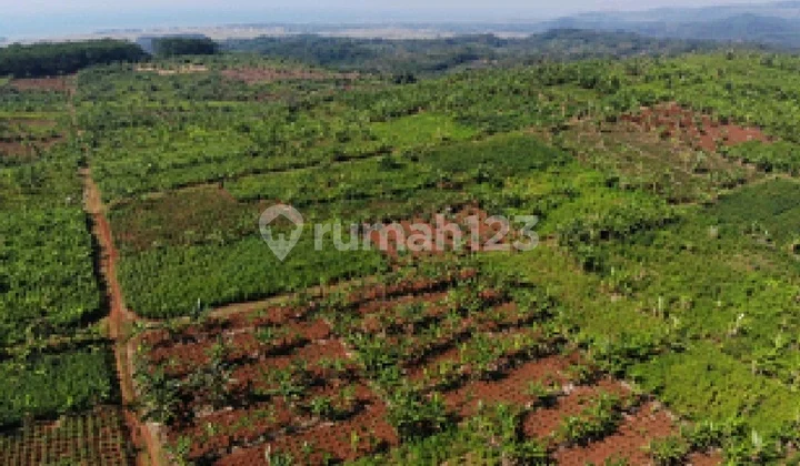 Dijual Tanah Industri Akses Kontainer dan HGB Batang Jawa Tengah
