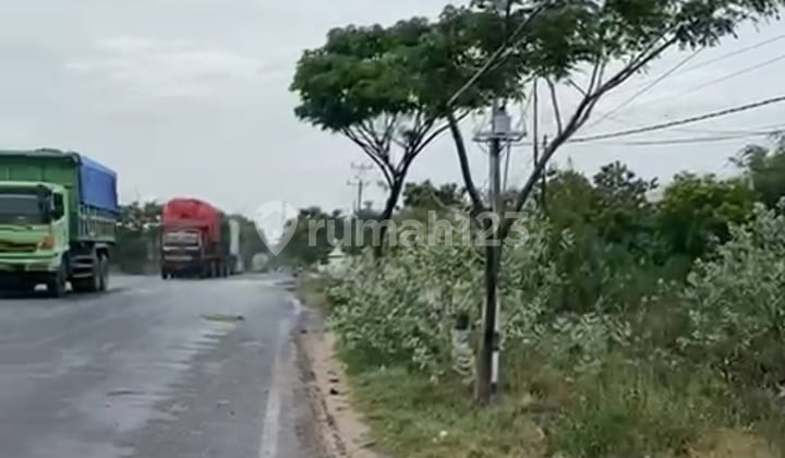 Dijual Tanah Tepi Jalan Raya Rembang Jawa Tengah