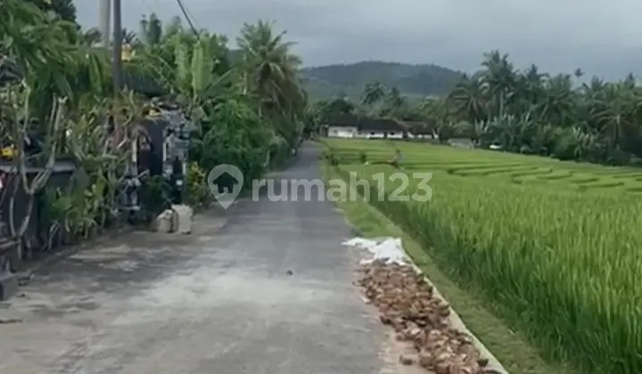 Cheap Land For Sale Located in Batu Mejan, Selemadeg, Tabanan