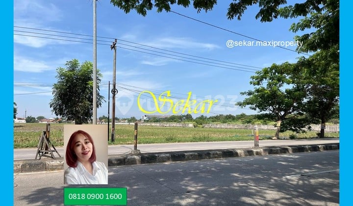 For Sale Kavling Komersial Karawang Barat Pinggir Jalan Raya