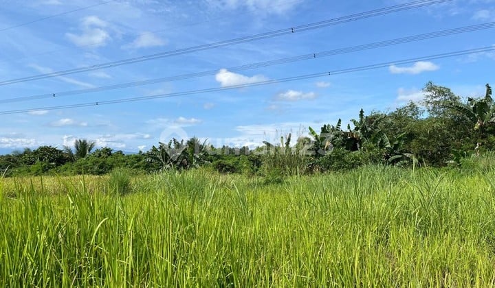 Land Maja Lebak Banten Roadside Already Certified