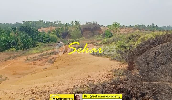 Tanah Labuan Cocok Untuk Peternakan dan Perkebunan Sangat Bagus
