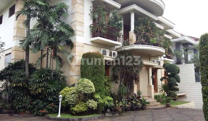 Nice House, Pejaten South Jakarta