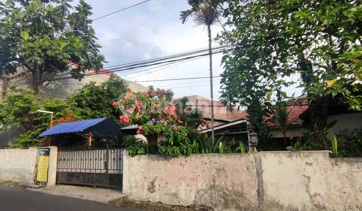 Rumah Kebon Jeruk Dekat Binus Cocok untuk Kos Jakarta Barat Rumah Kebon Jeruk Dekat Binus Cocok untuk Kos Jakarta Barat