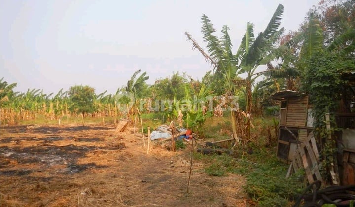 Tanah Cengkareng Harga NJOP Area Komersil Jakarta Barat