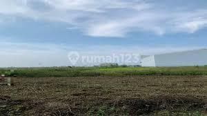 Disewakan / Dijual Tanah Kompleks Pergudangan Laksana Business Park Lokasi Strategis