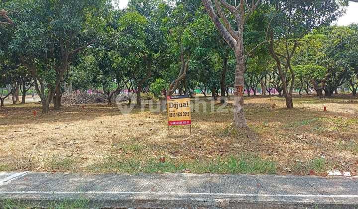 For Sale Golf Garden South Jababeka Lot