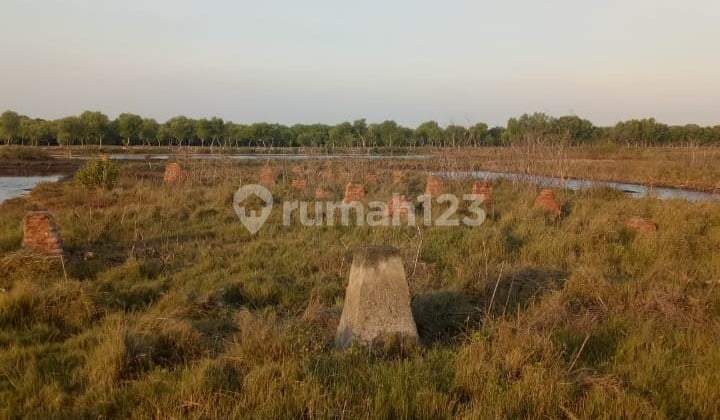 Dijual Tanah Luas Harga Terjangkau, Legon Kulon Subang