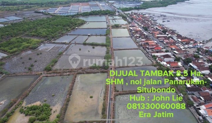 Tambak Raya Panarukan Situbondo East Java Land, Strategic Location, Surrounded by Fish Ponds, Seaweed Factory, Hatchery, Etc.