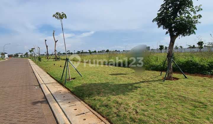 Palm Spring Plot, 1000m2, Pantai Indah Kapuk PIK PIK2, affordable