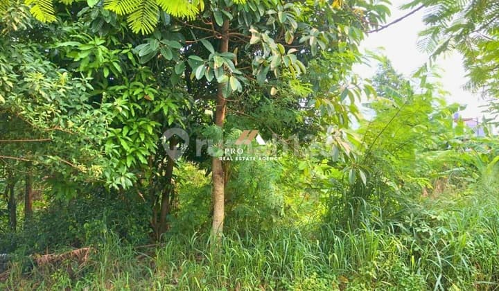 Tanah Kavling yang Strategis dan Cocok untuk Investasi