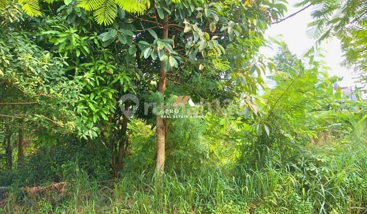 Tanah Kavling yang Strategis dan Cocok untuk Investasi