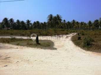 Tanah 7 Ha Sertifikat SHM di Bibir Pantai Ujung Genteng Sukabumi