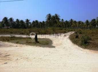 Tanah 7 Ha Sertifikat SHM di Bibir Pantai Ujung Genteng Sukabumi