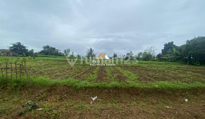 Dijual Tanah SHM Siap Bangun di Cibungbulang, Bogor