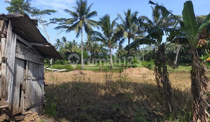 Dijual Tanah 1.910 m2 Dekat Pantai di Kp. Cibungur, Sukabumi