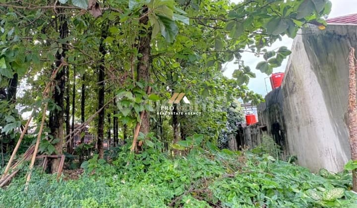 Tanah Kavling di Tumbuhi Pohon Jati - Siap Pakai