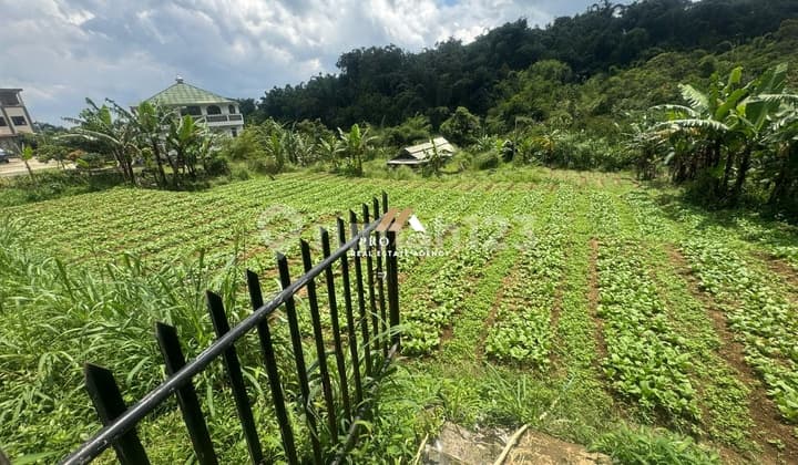 Dijual Tanah 1900 m2 SHM di Jalan Pasir Halang, Desa Sukabumi