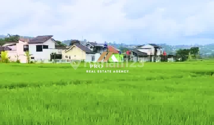 Tanah Sawah Siap Pakai 1,6 Hektare di Ciawi