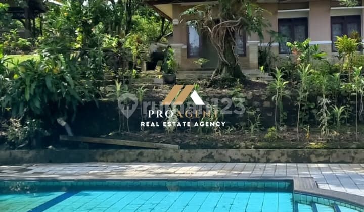 Dijual Villa Luas 2.945 M2 SHM Dekat Pusat Perbelanjaan di Mekar Jaya Ciomas Bogor