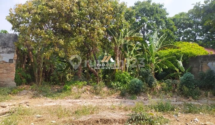 Tanah Kavling Siap Pakai - Peluang Investasi Menarik