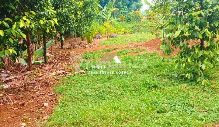 Tanah Kavling Strategis untuk Hunian & Investasi di Ciomas