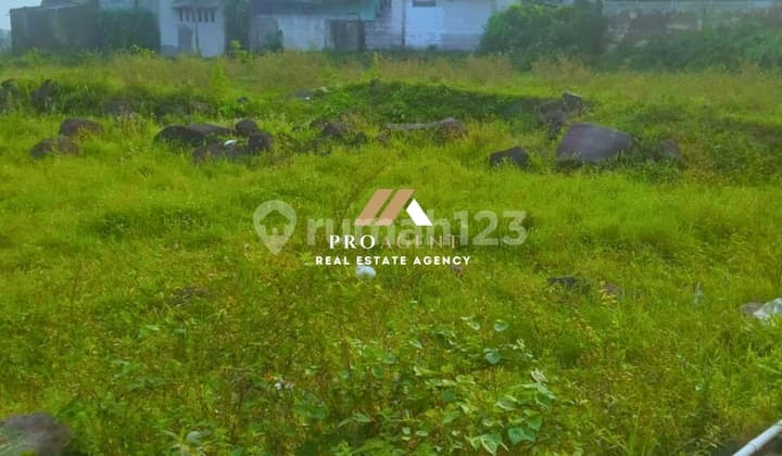 Tanah 828M2 di Ciomas yang Cocok untuk Investasi