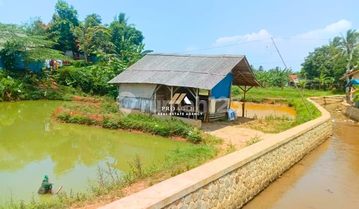 Tanah Empang Lengkap dengan 1 Gubuk - Cocok untuk Bisnis Perikanan dan Wisata Air