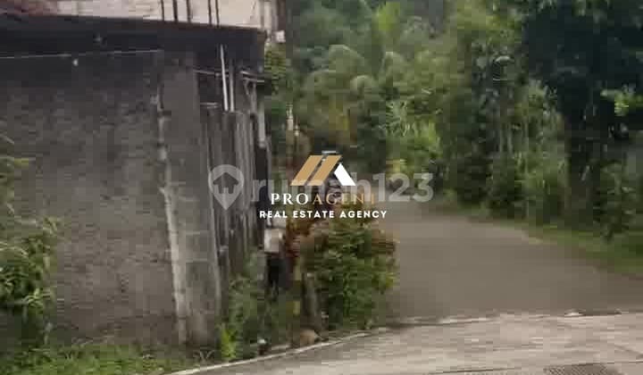 Ready-to-Use Plantation Land - Attractive Investment Opportunity