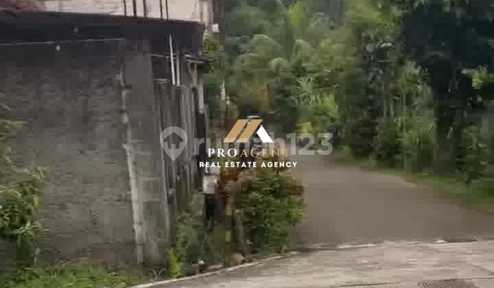 Tanah Perkebunan Siap Pakai - Peluang Investasi Menarik