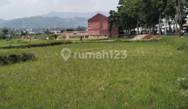 Tanah Sawah Strategis (hampir 1 hektar) di jl Ciputih / jl Lingkar Baru Kec Soreang Kab Bandung