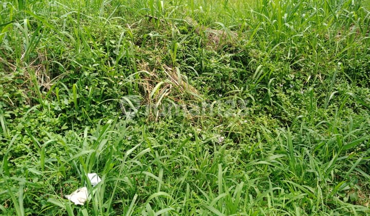 Tanah Strategis di Taman Holis Indah 2 Cigondewah Bandung