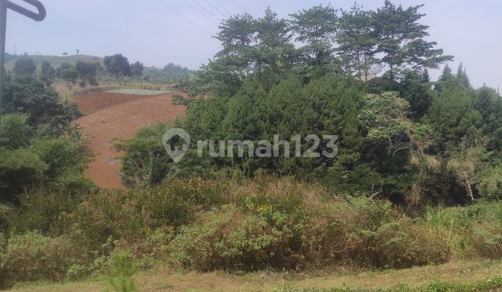 Tanah Kavling 1 Hektar Lebih di Dago Pakar Bandung