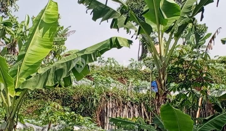 Tanah strategis untuk usaha di Mainroad Cikole Tangkuban Parahu