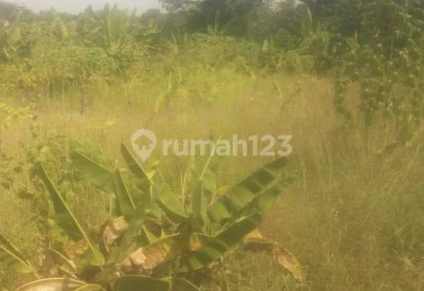 Tanah Dekat Komplek Metland Kec Kertajati Kab Majalengka
