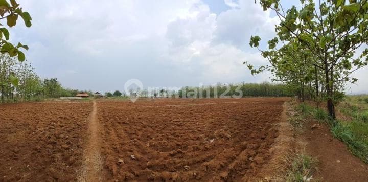 Strategic Large Land on the Main Road of Girimukti Village, Kasokandel District, Majalengka Regency