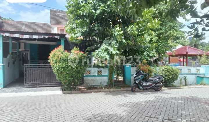 Dijual rumah siap huni Citra Indah City samping fasum taman Cluster