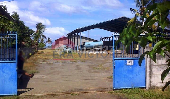 Ice and Fish Meal Factory Full Production Machines Active in Bali