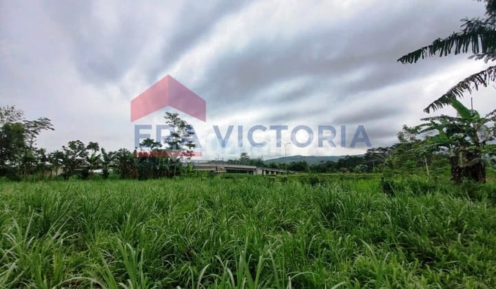 Tanah Luas Dekat Pabrik Gula Otsuka Cocok Buat Cafe Sawah