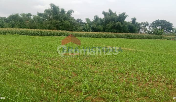 Tanah Sangat Luas Di Pinggir Raya Banyuwangi Jalur Utama Ketapang