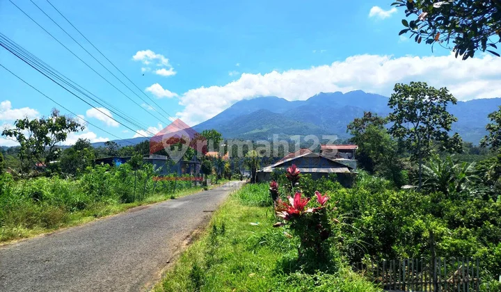 Dijual Tanah View Cantik Gunung Dekat Raya Purwodadi Pasuruan