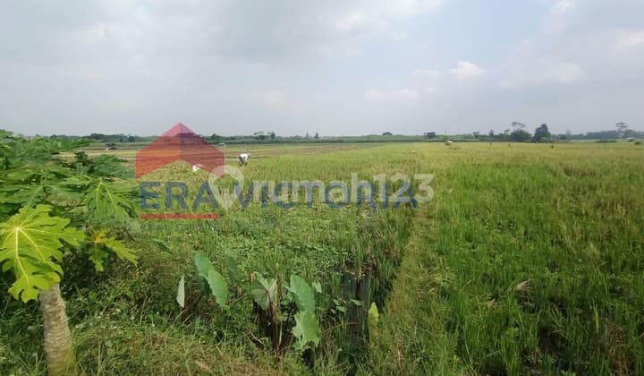 Diual Tanah Lokasi Strategis Akses Dekat Fasilitas Umum Singosari