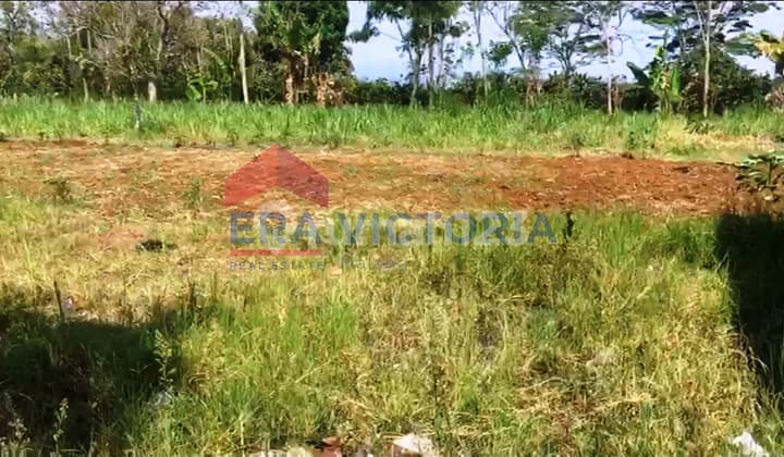 Tanah Dijual di Kawasan Padat Penduduk Batu Dekat Jatim Park