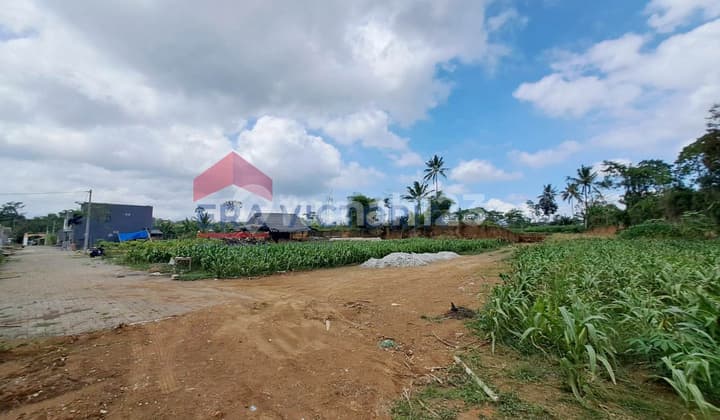 Tanah Dekat Pasar Tajinan Cocok untuk Hunian, Investasi atau Usaha Kecil