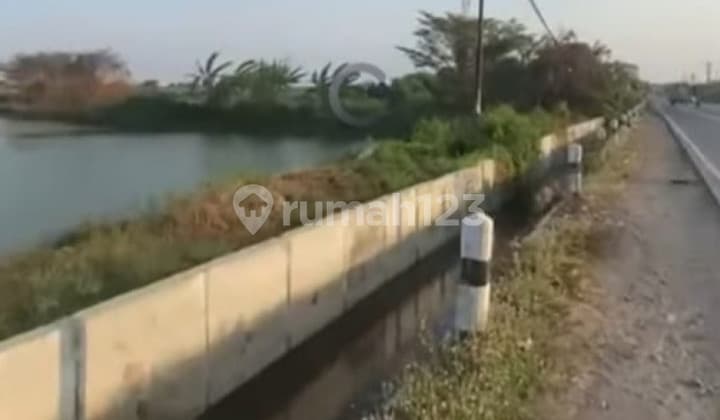 Tanah 0 Raya Cerme Banjarsari Gresik Siap Pakai