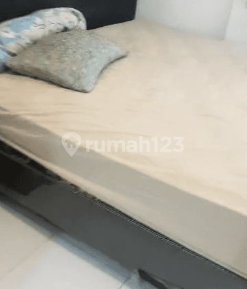 Apartemen Azalea Suites Cikarang Tower Acacia