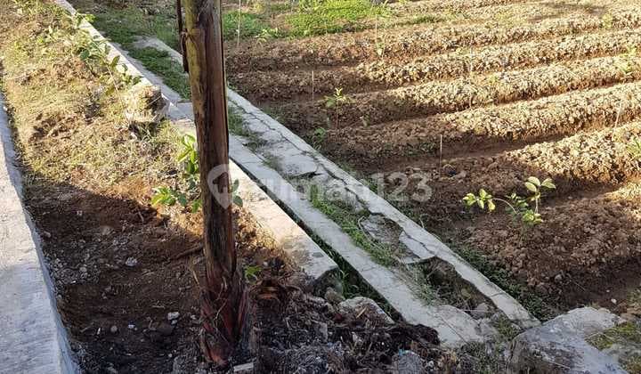 Active Land for Sale with Bonus Villa Near Selabintana, Sukabumi, West Java